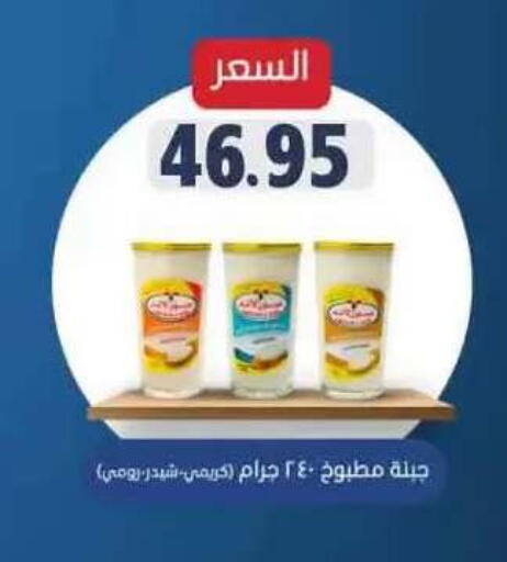 available at Mekkawy market  in Egypt - Cairo