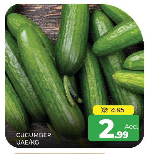 Cucumber available at المدينة in الإمارات العربية المتحدة , الامارات - الشارقة / عجمان