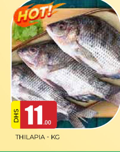 available at AL MADINA in UAE - Sharjah / Ajman