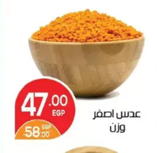 available at Zaher Dairy in Egypt - Cairo
