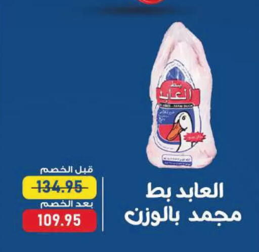 available at Exception Market in Egypt - Cairo