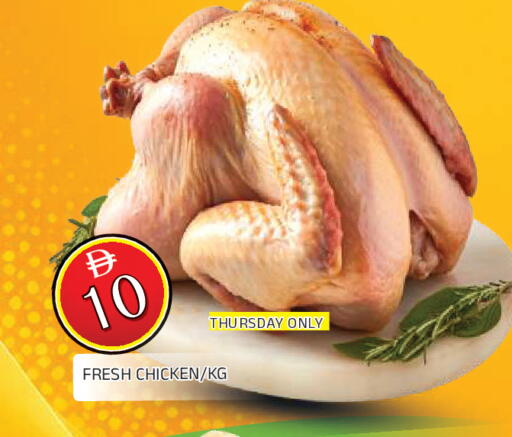 available at المدينة in الإمارات العربية المتحدة , الامارات - الشارقة / عجمان