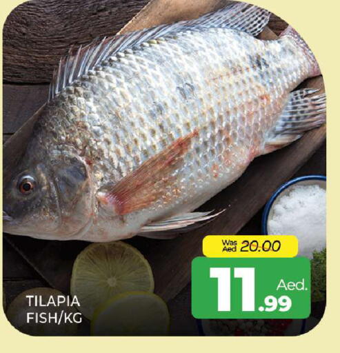 available at المدينة in الإمارات العربية المتحدة , الامارات - الشارقة / عجمان