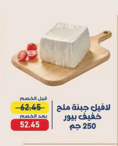 available at Exception Market in Egypt - Cairo