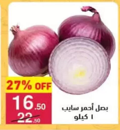 available at محمود الفار in Egypt - القاهرة
