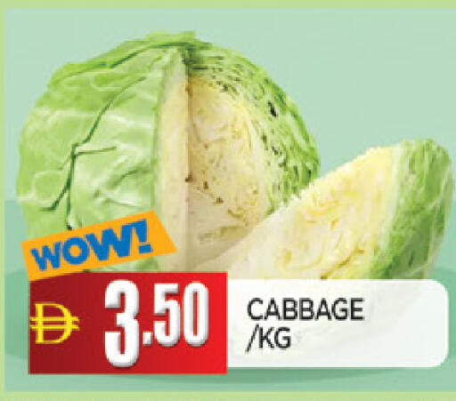 Cabbage available at المدينة in الإمارات العربية المتحدة , الامارات - الشارقة / عجمان