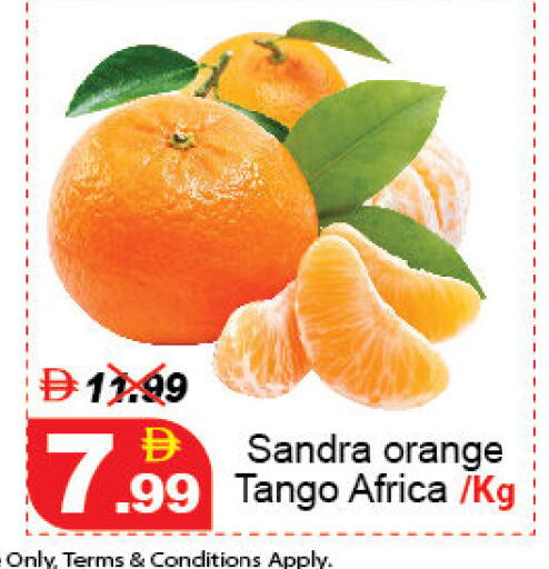 Orange available at ديزرت فريش ماركت in الإمارات العربية المتحدة , الامارات - أبو ظبي