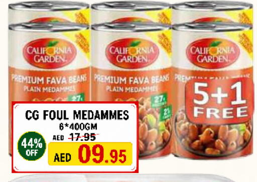 available at رويال جلف هايبرماركت in الإمارات العربية المتحدة , الامارات - أبو ظبي
