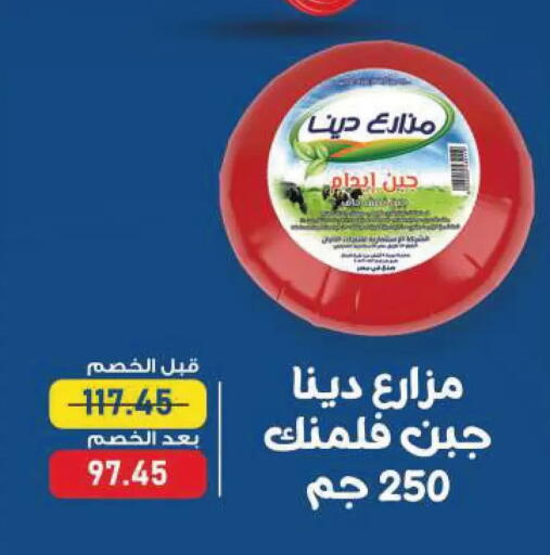 available at Exception Market in Egypt - Cairo