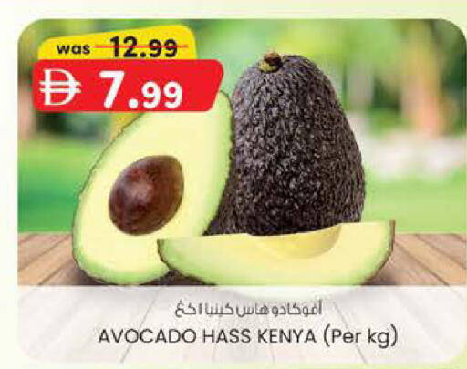 Avocado from Kenya available at ك. الم. للتجارة in الإمارات العربية المتحدة , الامارات - أبو ظبي