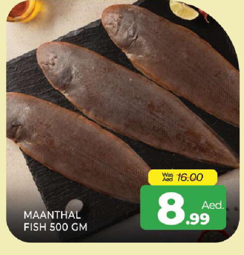 available at المدينة in الإمارات العربية المتحدة , الامارات - الشارقة / عجمان