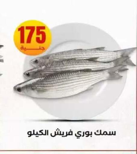 available at المحلاوي ستورز in Egypt - القاهرة