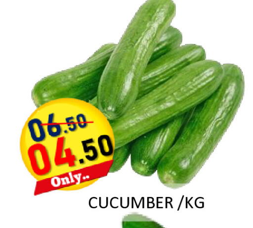 Cucumber available at رويال جلف هايبرماركت in الإمارات العربية المتحدة , الامارات - أبو ظبي