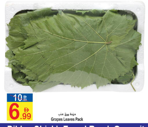 Grapes available at سن اند ساند هايبر ماركت ذ.م.م in الإمارات العربية المتحدة , الامارات - رَأْس ٱلْخَيْمَة