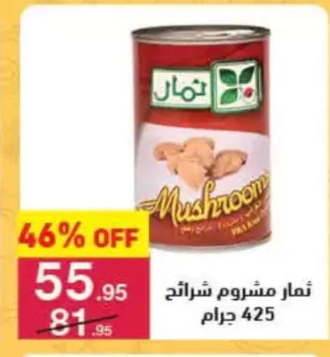 Mushroom available at محمود الفار in Egypt - القاهرة