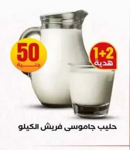 available at المحلاوي ستورز in Egypt - القاهرة