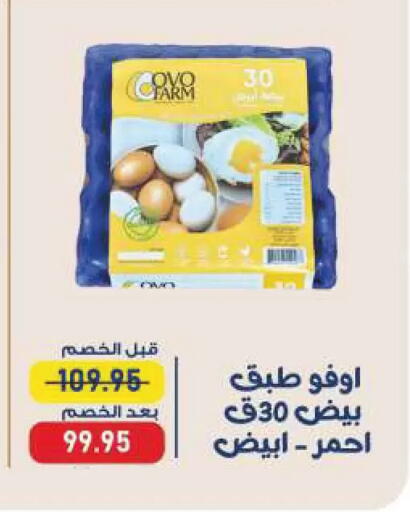 available at Exception Market in Egypt - Cairo