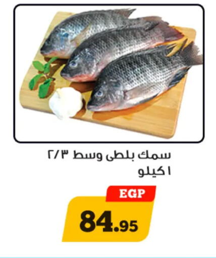 available at أولاد رجب in Egypt - القاهرة