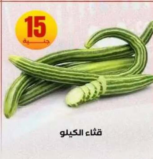 available at المحلاوي ستورز in Egypt - القاهرة