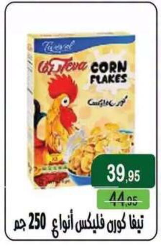 available at Mekkawy market  in Egypt - Cairo
