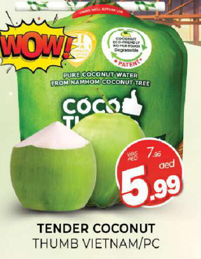 Coconut available at المدينة in الإمارات العربية المتحدة , الامارات - الشارقة / عجمان