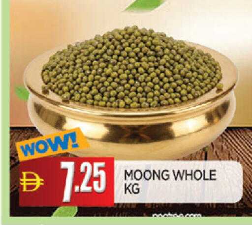available at المدينة in الإمارات العربية المتحدة , الامارات - الشارقة / عجمان