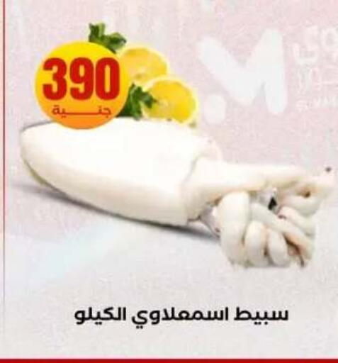 available at المحلاوي ستورز in Egypt - القاهرة