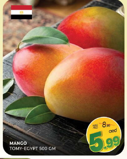 Mango from Egypt available at المدينة in الإمارات العربية المتحدة , الامارات - الشارقة / عجمان