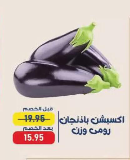 available at Exception Market in Egypt - Cairo
