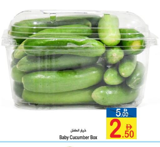 Cucumber available at سن اند ساند هايبر ماركت ذ.م.م in الإمارات العربية المتحدة , الامارات - رَأْس ٱلْخَيْمَة