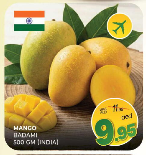 Mango from India available at المدينة in الإمارات العربية المتحدة , الامارات - الشارقة / عجمان