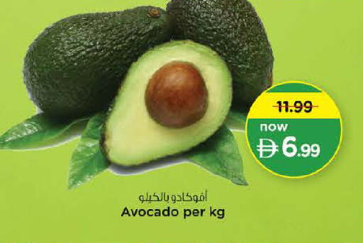 Avocado available at نستو هايبرماركت in الإمارات العربية المتحدة , الامارات - الشارقة / عجمان