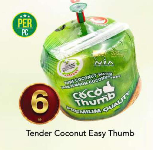 Coconut available at مارك & سيف in الإمارات العربية المتحدة , الامارات - الشارقة / عجمان