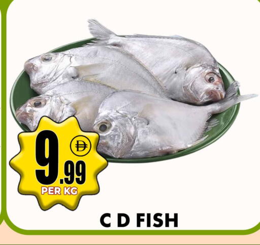 available at Centro Discount Center in UAE - Sharjah / Ajman
