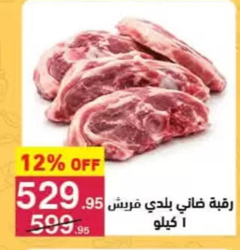 available at محمود الفار in Egypt - القاهرة