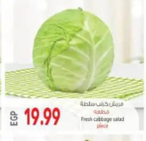 Cabbage available at El.Husseini supermarket  in Egypt - Cairo