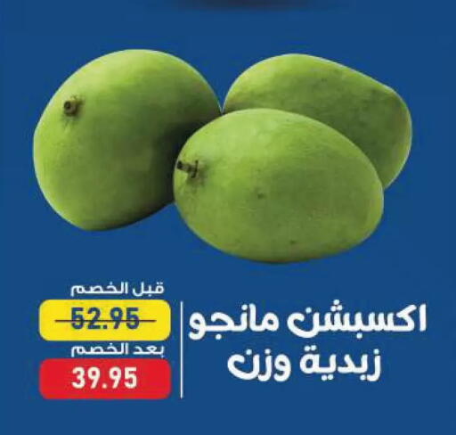 available at Exception Market in Egypt - Cairo