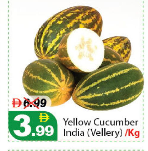 Cucumber available at ديزرت فريش ماركت in الإمارات العربية المتحدة , الامارات - أبو ظبي