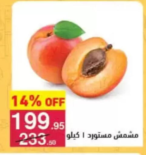 available at محمود الفار in Egypt - القاهرة