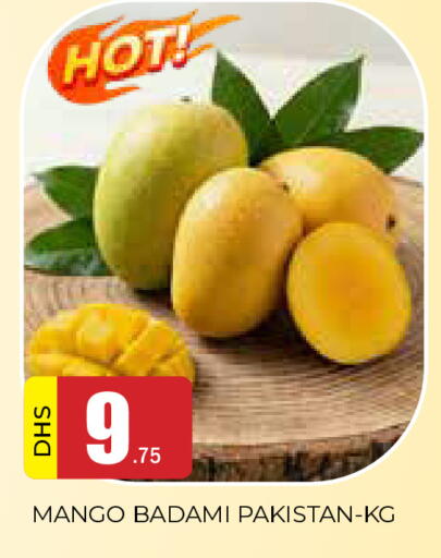 Mango from Pakistan available at AL MADINA in UAE - Sharjah / Ajman