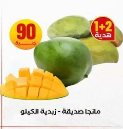 available at المحلاوي ستورز in Egypt - القاهرة
