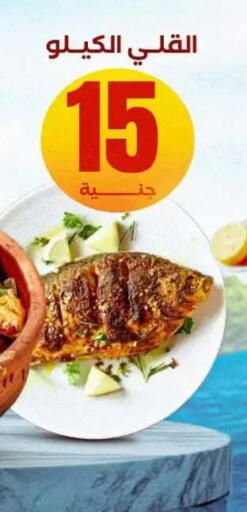 available at المحلاوي ستورز in Egypt - القاهرة