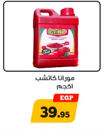 Tomato available at أولاد رجب in Egypt - القاهرة