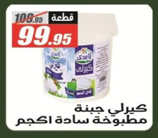 available at El Fergany Hyper Market   in Egypt - Cairo
