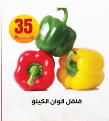 available at المحلاوي ستورز in Egypt - القاهرة