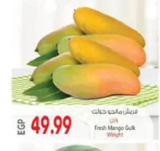 Mango available at El.Husseini supermarket  in Egypt - Cairo