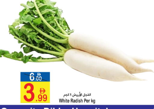 Radish available at سن اند ساند هايبر ماركت ذ.م.م in الإمارات العربية المتحدة , الامارات - رَأْس ٱلْخَيْمَة