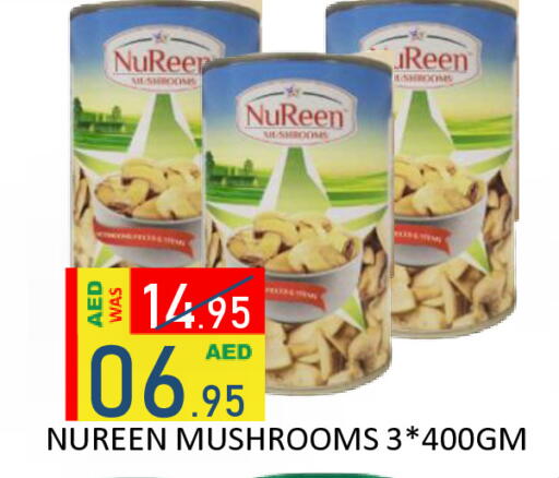 available at رويال جلف هايبرماركت in الإمارات العربية المتحدة , الامارات - أبو ظبي