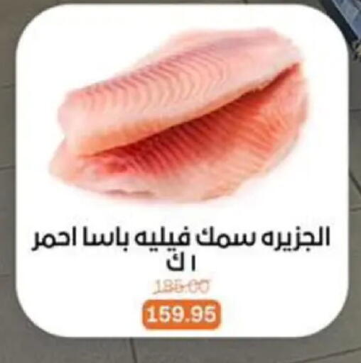 available at Beit El Gomla in Egypt - Cairo