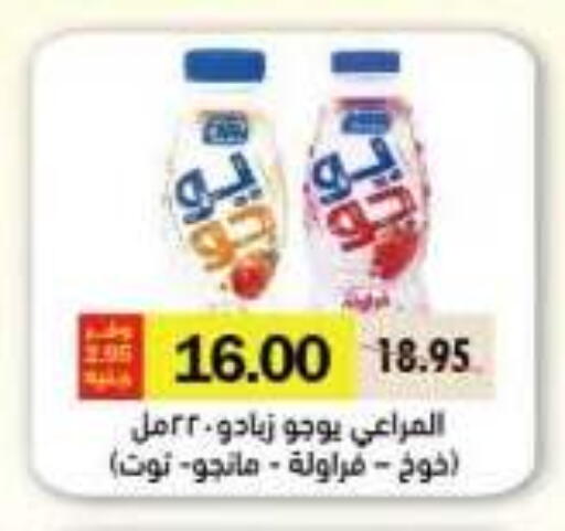 available at رويال هاوس in Egypt - القاهرة